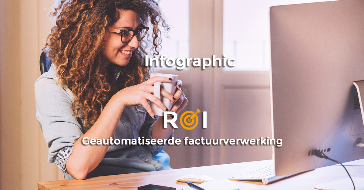 rekenvoorbeeld roi berekening infographic